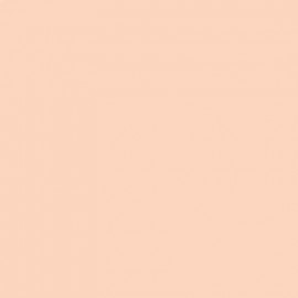 Rich Peach - 2 oz Mayco Acrylic Stain